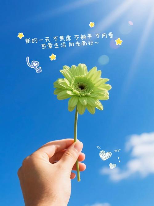 5月，携一缕暖阳，微笑向前  第1张
