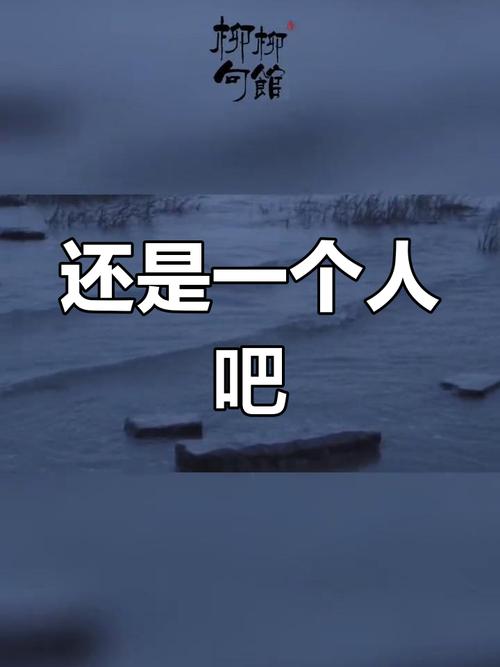 一个人挺好的  第1张