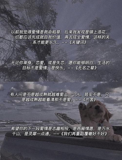 “那些拉你上岸的救赎文案”  第1张