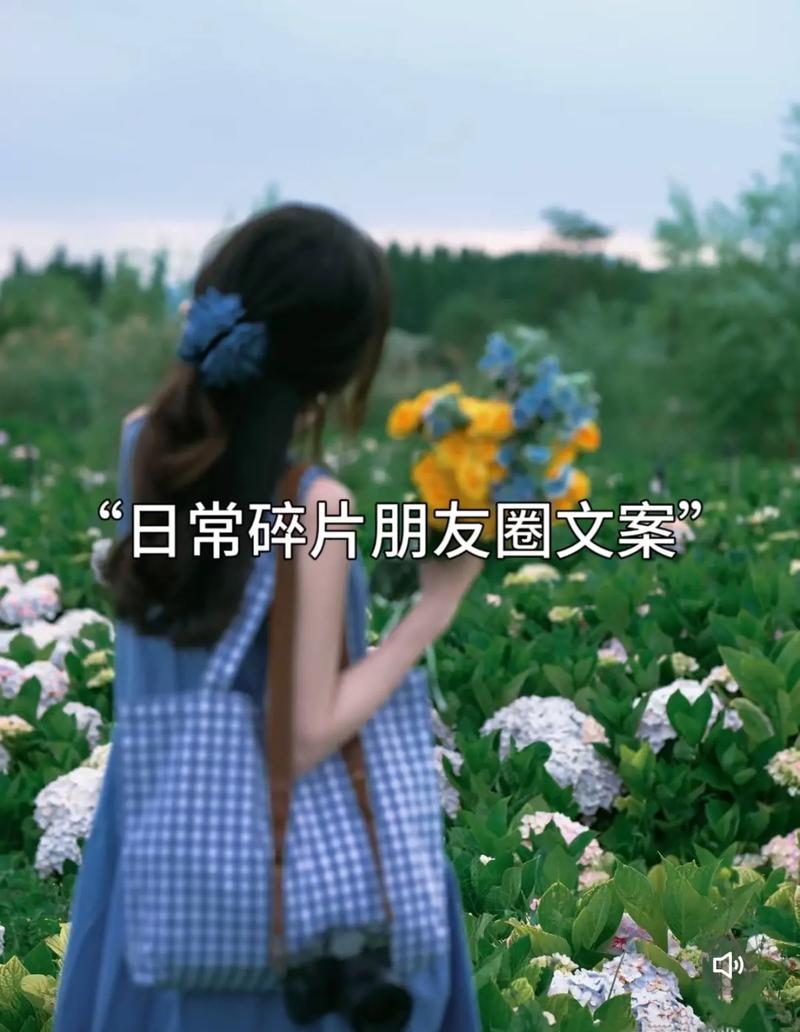 朋友圈日常简短高级文案  第1张