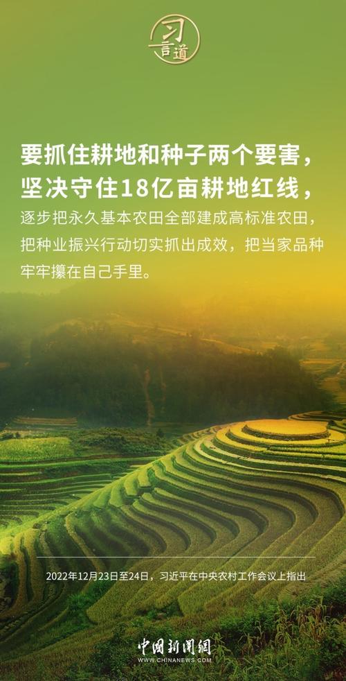 学习语｜强国必先强农，农强方能国强  第1张