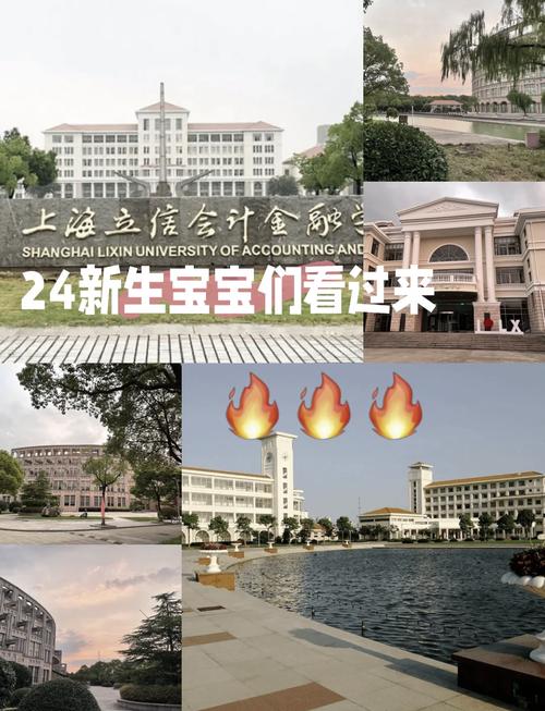 2026上海立信会计金融学院各专业在河南招生人数、录取分数线（附：招生计划表）  第1张