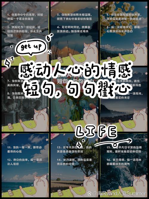 经典感情句子说说心情，句句舒心，哪一句说中你的心情  第1张