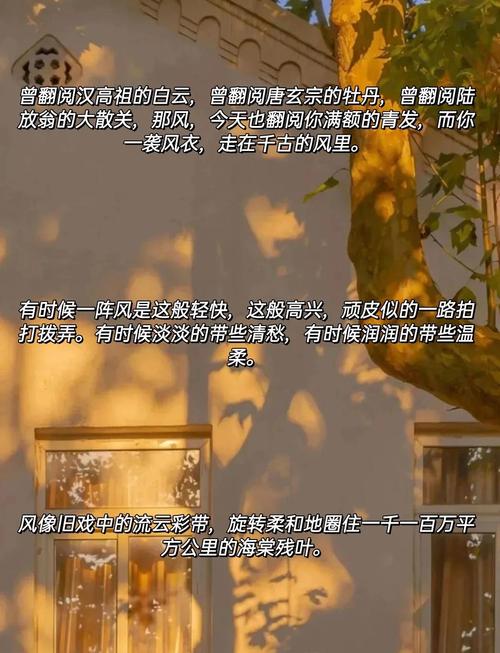 把风描写得极致的句子 第1张 把风描写得极致的句子 第1张