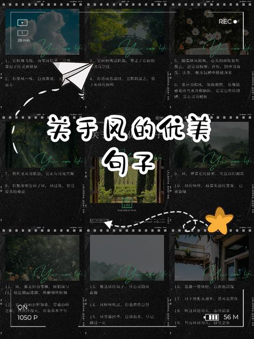 不同季节的风有各自的特点，你会描写风吗？收藏关于风的好句好段  第1张