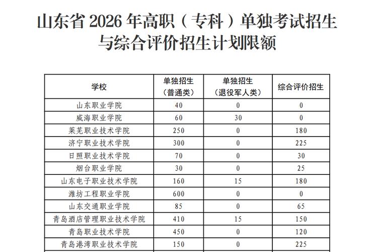 2026山东省教育招生考试院官网入口  第1张