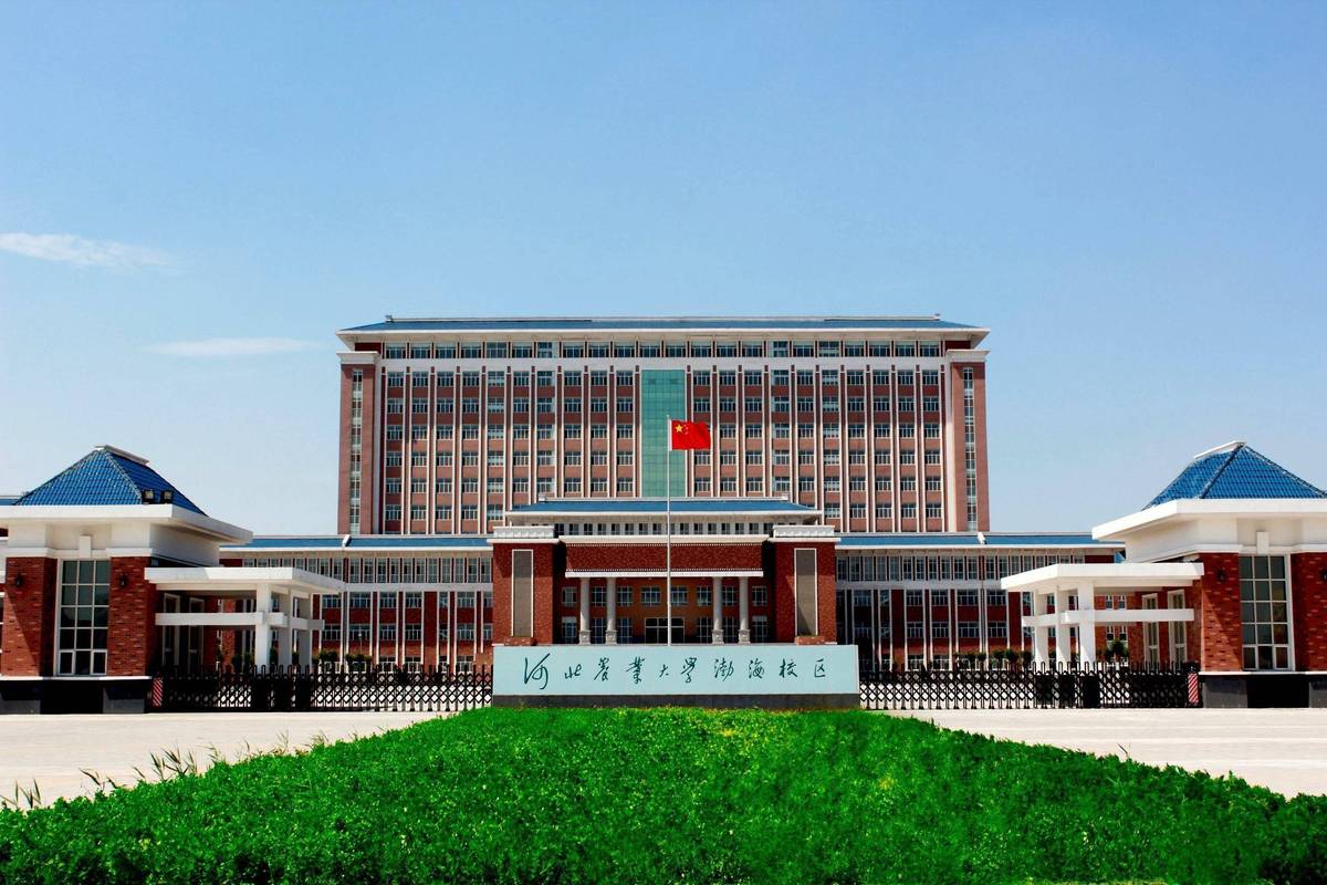 河北农业大学国际经济与贸易专业排名怎么样？好不好  第1张