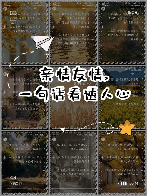 亲情友情,珍贵温暖 第1张 亲情友情,珍贵温暖 第1张