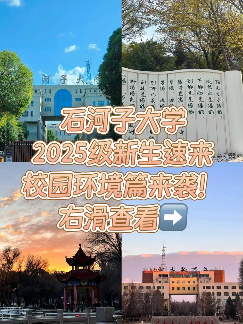石河子大学健康服务与管理专业怎么样?排名好不好 第1张 石河子大学健康服务与管理专业怎么样?排名好不好 第1张