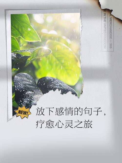 情感语录|心里舍不得放不下一段感情的句子,送给身心疲惫的你 第1张 情感语录|心里舍不得放不下一段感情的句子,送给身心疲惫的你 第1张