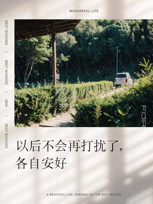 最近微信上很洒脱的句子，从此不再打扰，愿你余生安好  第1张