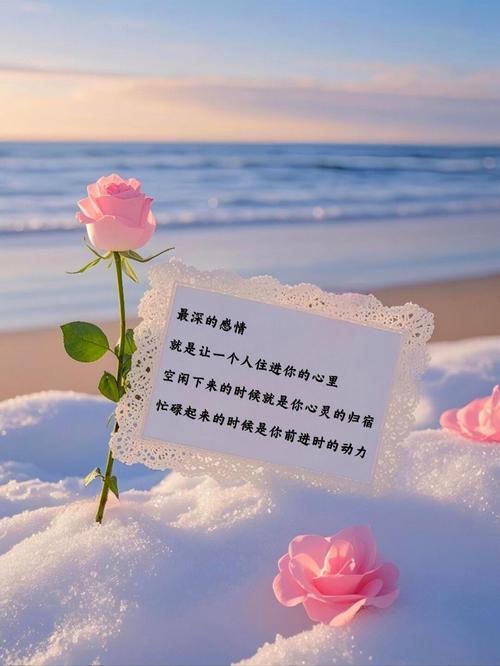 爱的句子,唤醒心灵的真挚情感 第1张 爱的句子,唤醒心灵的真挚情感 第1张