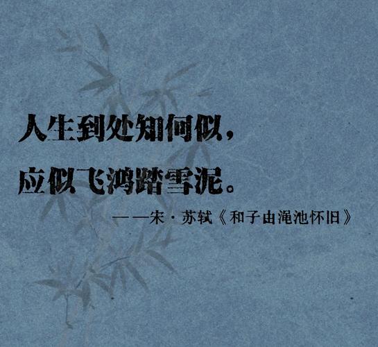 出自苏轼古文的经典语录,句句有理,不可不读 第1张 出自苏轼古文的经典语录,句句有理,不可不读 第1张