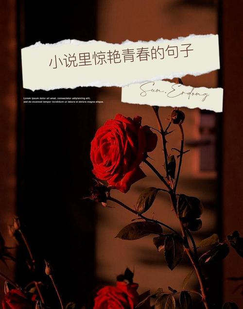 写尽青春的小众文案 第1张 写尽青春的小众文案 第1张