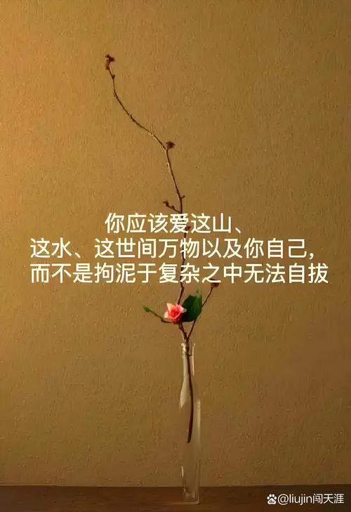 唯美舒心励志的句子,句句痛彻心扉心,总有一句说到你的心里 第1张 唯美舒心励志的句子,句句痛彻心扉心,总有一句说到你的心里 第1张