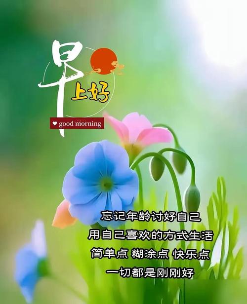 早安心语|关于眼泪的名言 第1张 早安心语|关于眼泪的名言 第1张