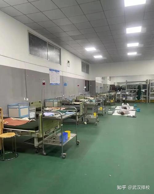 广州中医药大学助产学专业排名怎么样?好不好 第1张 广州中医药大学助产学专业排名怎么样?好不好 第1张