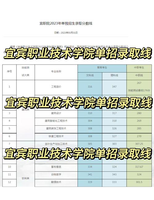 宜宾职业技术学院在湖北各专业招生人数、录取分数线2026(附:招生计划表) 第1张 宜宾职业技术学院在湖北各专业招生人数、录取分数线2026(附:招生计划表) 第1张