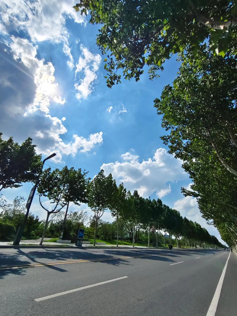 再繁忙的工作也不要错过路边的风景 第1张 再繁忙的工作也不要错过路边的风景 第1张
