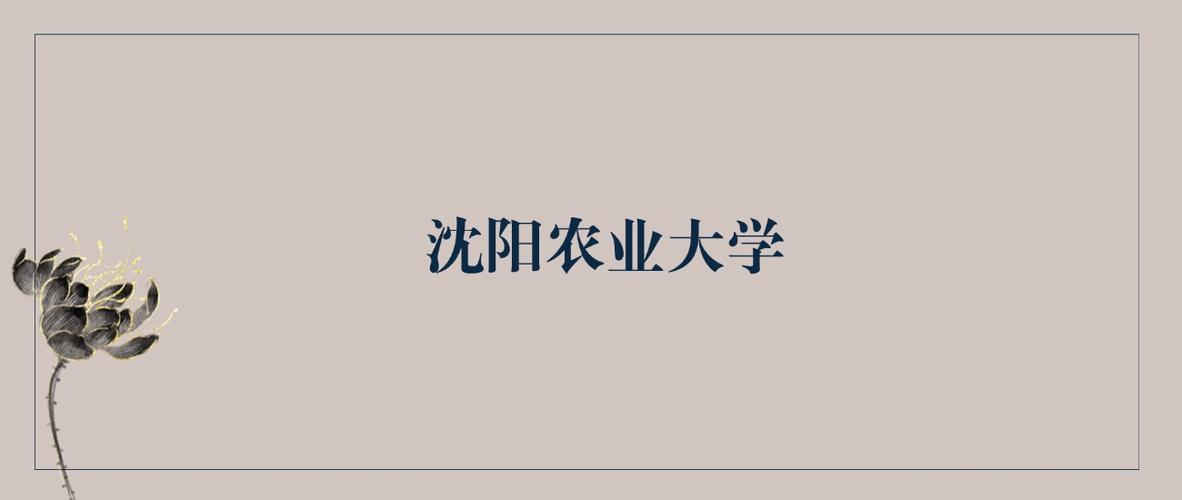 沈阳农业大学2025年在陕西录取分数线是多少（2025~2023近三年分数位次）  第1张