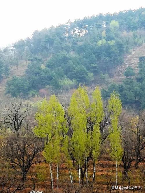 弯弯的小河,青青的山岗,蓝蓝的天空,阵阵的花香,依偎着小村庄 第1张 弯弯的小河,青青的山岗,蓝蓝的天空,阵阵的花香,依偎着小村庄 第1张