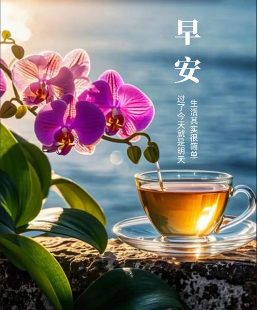 时光静好，我喝的是茶，品着的是女儿弹钢琴的声音  第1张