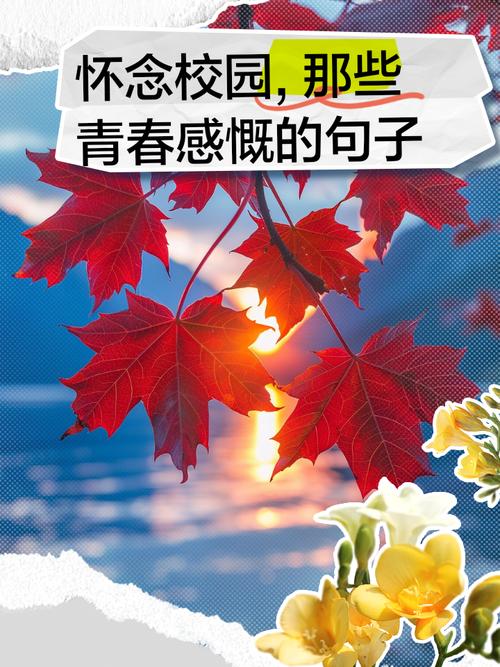 关于青春唯美的句子:一个懂得怀旧的人,总是会悲伤起来的 第1张 关于青春唯美的句子:一个懂得怀旧的人,总是会悲伤起来的 第1张