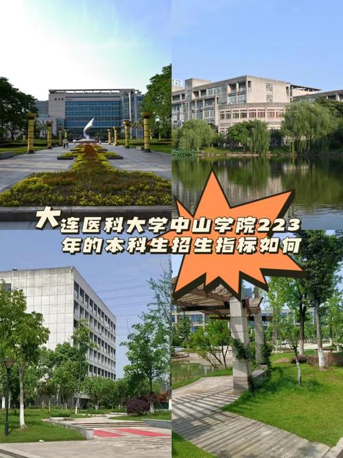 大连医科大学中山学院在湖南各专业2026招生人数、录取分数线(附:招生计划表) 第1张 大连医科大学中山学院在湖南各专业2026招生人数、录取分数线(附:招生计划表) 第1张
