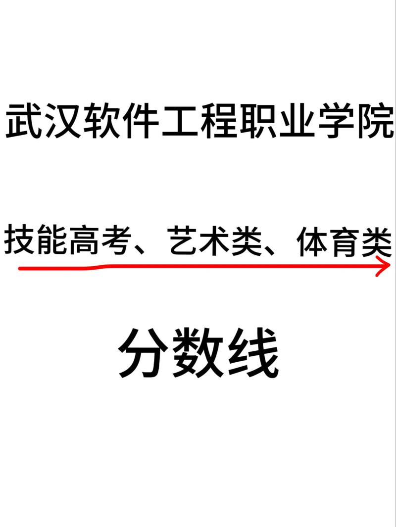武汉软件工程职业学院2026各专业在湖南招生人数、录取分数线（附：招生计划表）  第1张
