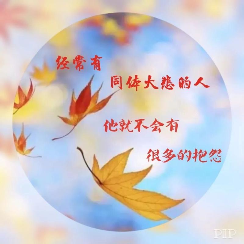 经典语录:不懂时,别乱说 懂得时,别多说 第1张 经典语录:不懂时,别乱说 懂得时,别多说 第1张