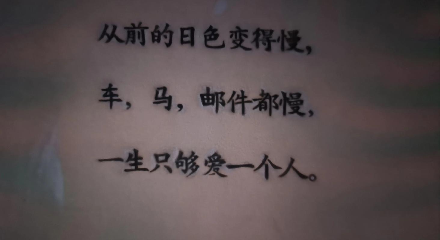 从前车马很慢，书信很远，一生只够爱一人  第1张