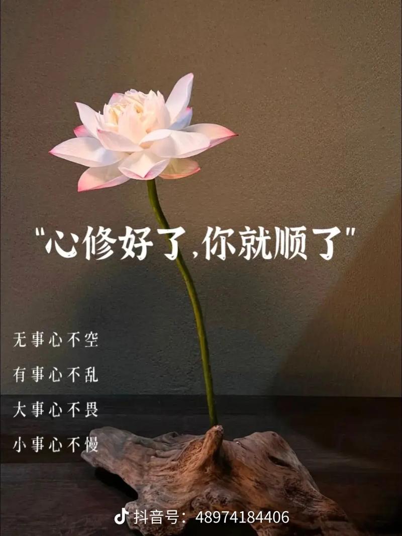 心中无烦,心自安;放下昨天,风云淡,静心看世界,事事皆美好 第1张 心中无烦,心自安;放下昨天,风云淡,静心看世界,事事皆美好 第1张