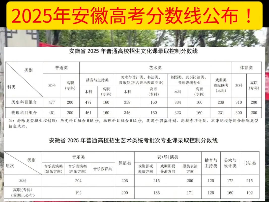 临沂大学2025年在安徽录取分数线是多少(2025~2023近三年分数位次) 第1张 临沂大学2025年在安徽录取分数线是多少(2025~2023近三年分数位次) 第1张