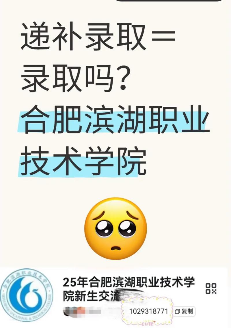 2025民办合肥滨湖职业技术学院录取分数线是多少「在各省录取最低分」 第1张 2025民办合肥滨湖职业技术学院录取分数线是多少「在各省录取最低分」 第1张