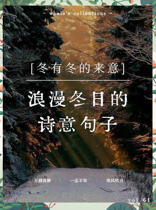 可以发在下雪天的文案 第1张 可以发在下雪天的文案 第1张