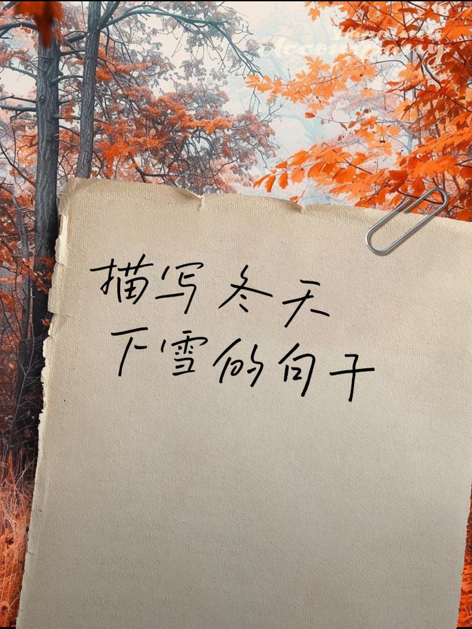 适合下雪天发的文字句子 雪景发朋友圈说说配一句话  第1张