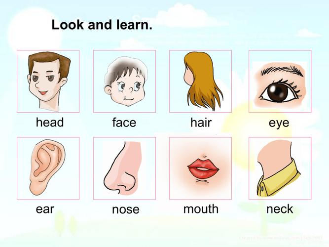 “You have a big nose”不是说你“大鼻子”,意思差远了! 第1张 “You have a big nose”不是说你“大鼻子”,意思差远了! 第1张