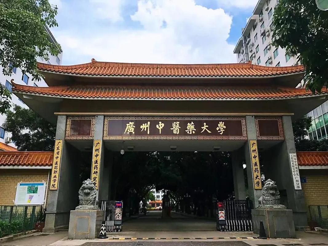 2025广州中医药大学录取分数线(在各省录取最低分是多少) 第1张 2025广州中医药大学录取分数线(在各省录取最低分是多少) 第1张