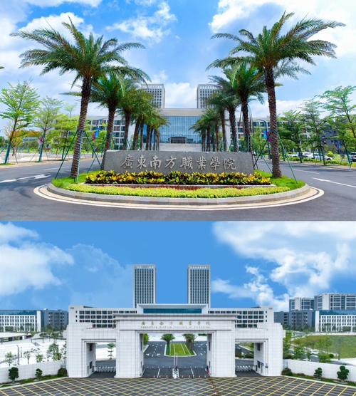 广东南方职业学院2025年录取分数线（在各省录取最低分是多少）  第1张