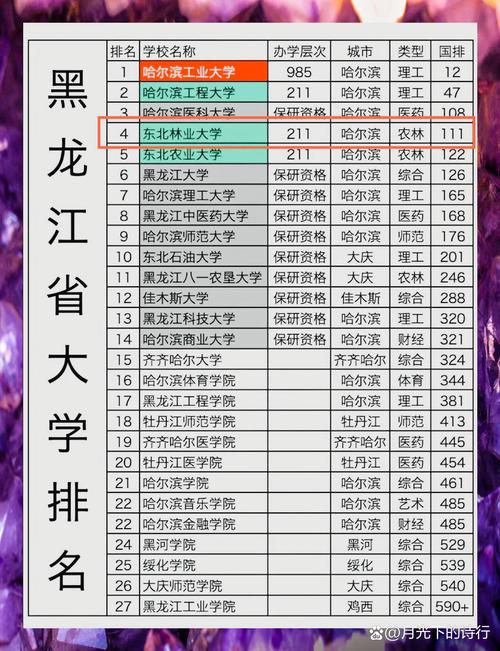 哈尔滨有哪些大学？哈尔滨的大学排名2026最新「附分数线」  第1张