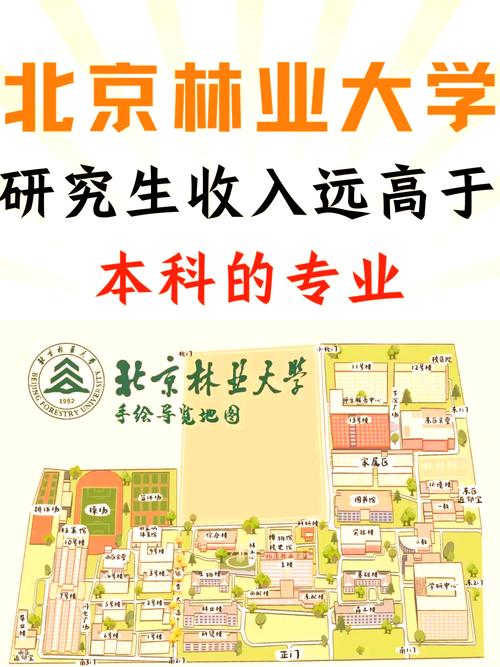 北京林业大学数据科学与大数据技术专业排名怎么样?好不好 第1张 北京林业大学数据科学与大数据技术专业排名怎么样?好不好 第1张