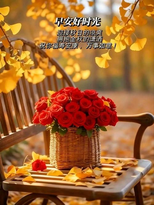 种一朵心花于红尘,灿烂了行程,唯美了时光 第1张 种一朵心花于红尘,灿烂了行程,唯美了时光 第1张