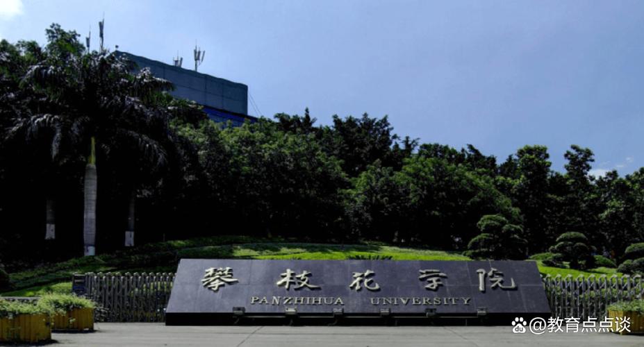 攀枝花有哪些大学?攀枝花的大学排名2026最新(附分数线) 第1张 攀枝花有哪些大学?攀枝花的大学排名2026最新(附分数线) 第1张