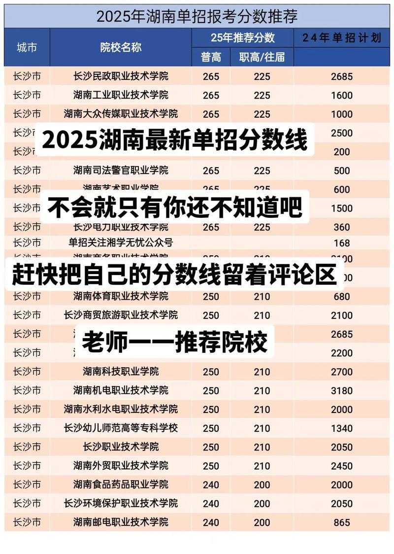 湖南软件职业技术大学录取分数线2025（在各省录取最低分是多少）  第1张