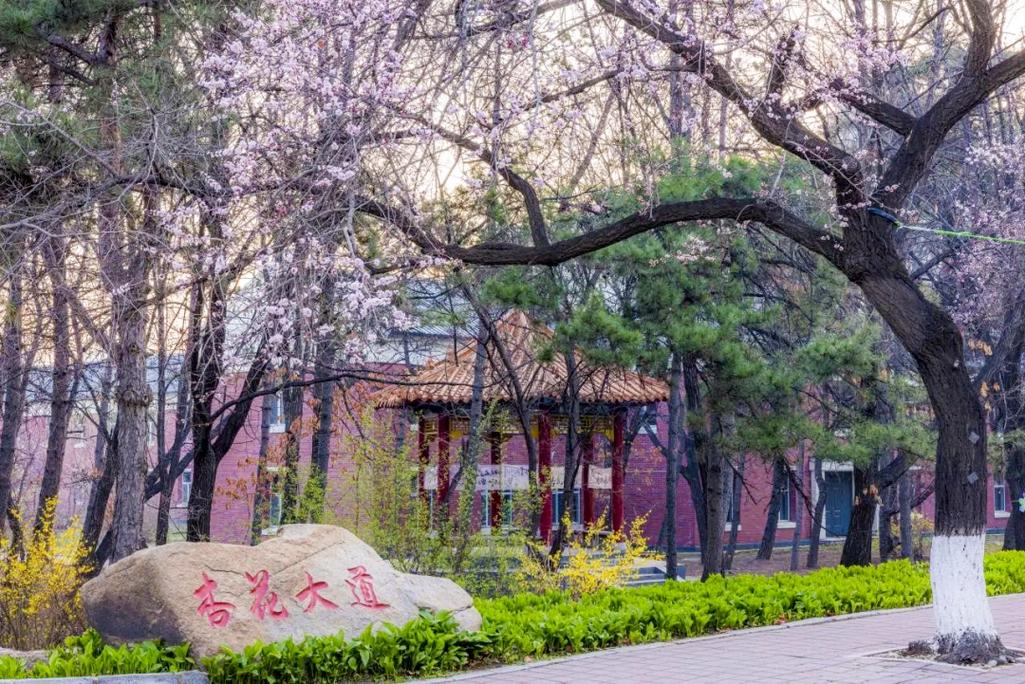 吉林历史类630分能上什么学校2026(好大学有哪些) 第1张 吉林历史类630分能上什么学校2026(好大学有哪些) 第1张