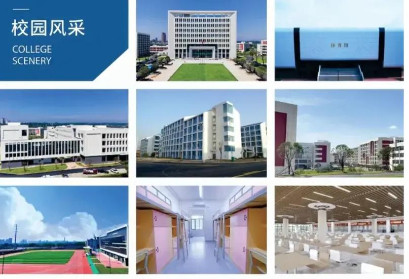 2025湖南吉利汽车职业技术学院录取分数线是多少「在各省录取最低分」 第1张 2025湖南吉利汽车职业技术学院录取分数线是多少「在各省录取最低分」 第1张