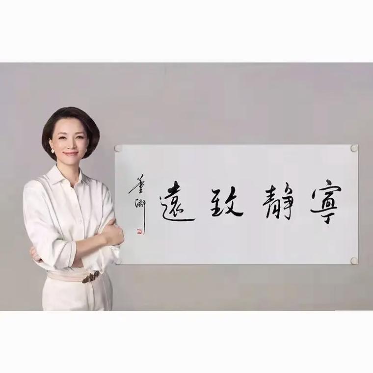董卿：虽然日月不停更替，但生活却焕然一新  第1张