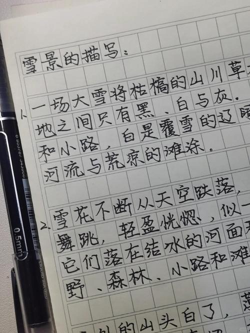 冬日白雪:诗意般的雪景描写 第1张 冬日白雪:诗意般的雪景描写 第1张