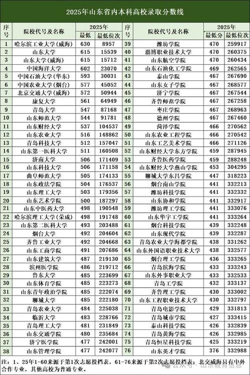 山东华宇工学院录取分数线2025(在各省录取最低分是多少) 第1张 山东华宇工学院录取分数线2025(在各省录取最低分是多少) 第1张