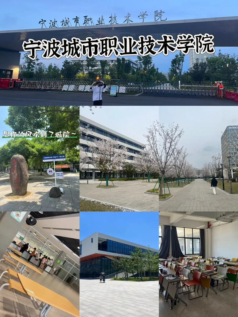宁波城市职业技术学院排名全国第几 省内多少位(2025最新) 第1张 宁波城市职业技术学院排名全国第几 省内多少位(2025最新) 第1张
